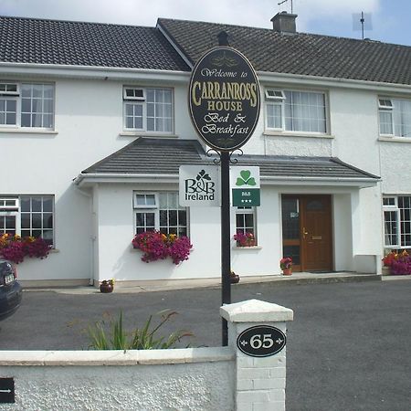 Carranross Accommodation Killarney Eksteriør bilde